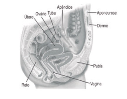 O que é ooforoplastia?